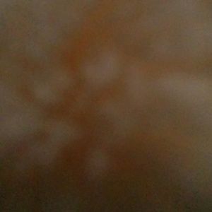 Meet your Posher, Zoya